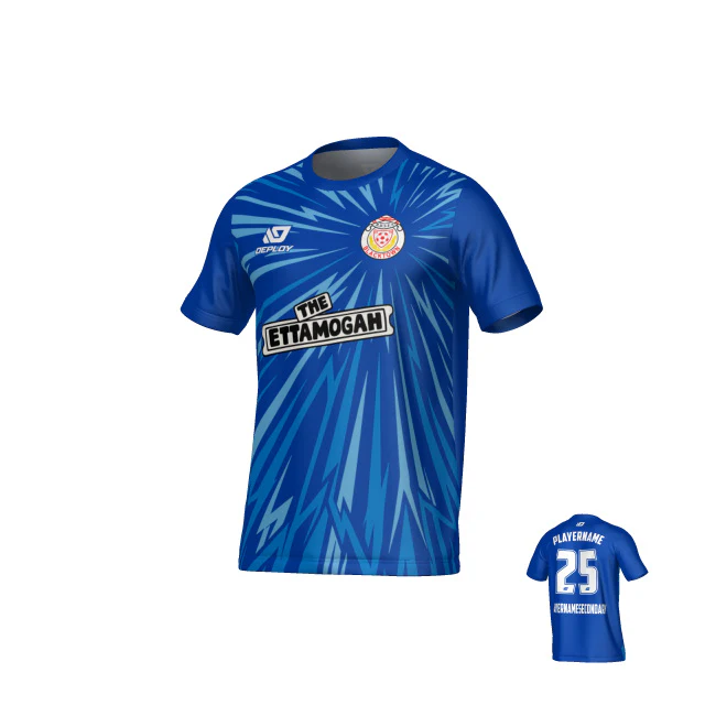 BDSFA SUMMER - BURST - BLUE - Image 2