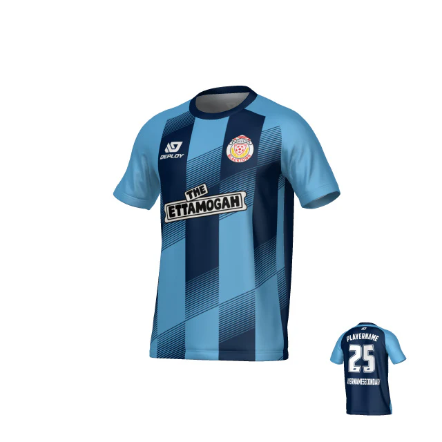 BDSFA SUMMER - VECTOR - NAVY & SKY BLUE - Image 2