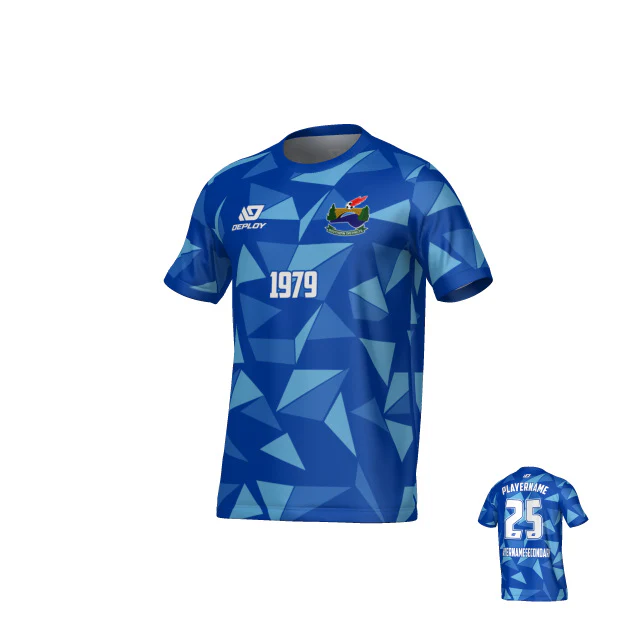SDSFA SUMMER - SHARDS - BLUE - Image 2