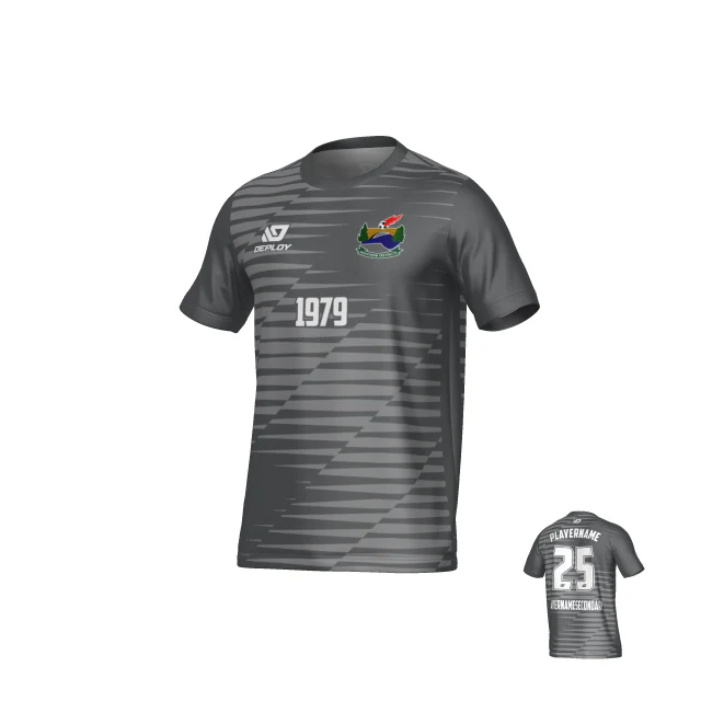 SDSFA SUMMER - STATIC - GREY - Image 2